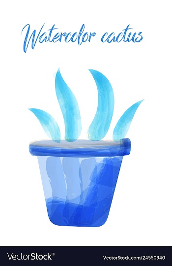 Cactus isolated on white background watercolor vector image