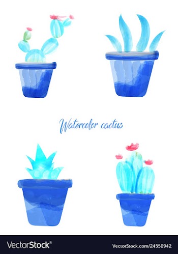 Cactus isolated on white background watercolor vector image