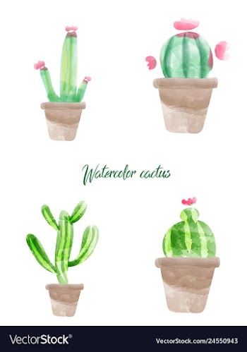 Cactus isolated on white background watercolor vector image