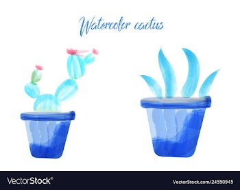 Cactus isolated on white background watercolor vector image