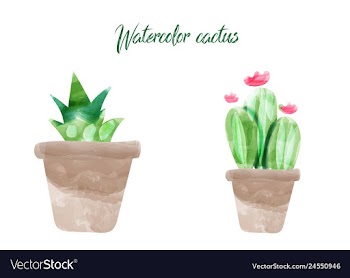 Cactus isolated on white background watercolor vector image