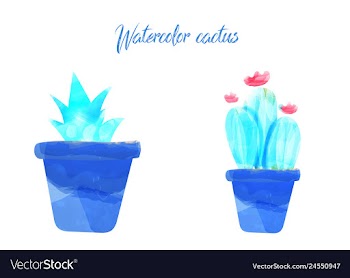 Cactus isolated on white background watercolor vector image