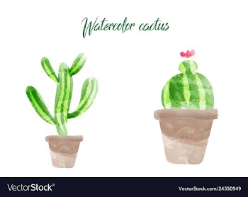 Cactus isolated on white background watercolor vector image