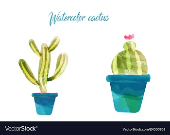 Cactus isolated on white background watercolor vector image