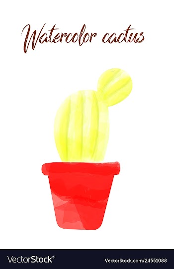 Cactus isolated on white background watercolor vector image