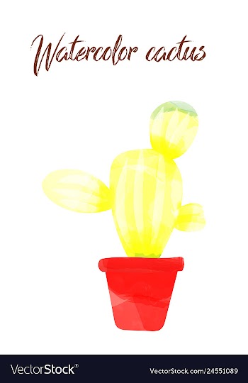 Cactus isolated on white background watercolor vector image