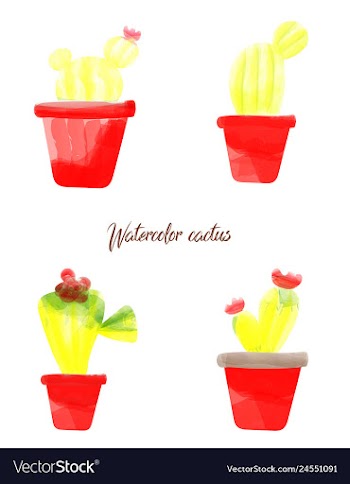 Cactus isolated on white background watercolor vector image