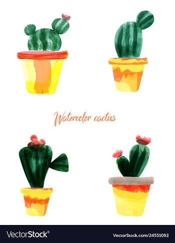 Cactus isolated on white background watercolor vector image