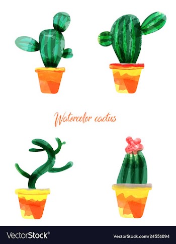 Cactus isolated on white background watercolor vector image
