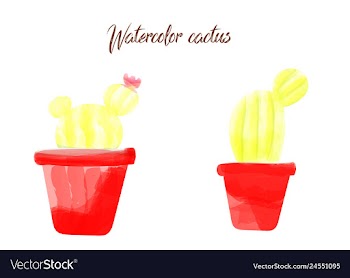 Cactus isolated on white background watercolor vector image