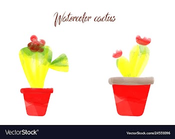 Cactus isolated on white background watercolor vector image