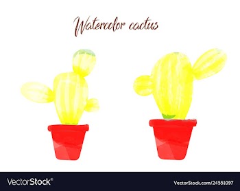 Cactus isolated on white background watercolor vector image