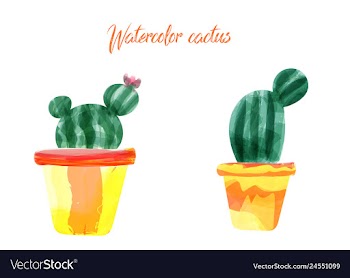 Cactus isolated on white background watercolor vector image