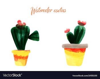 Cactus isolated on white background watercolor vector image