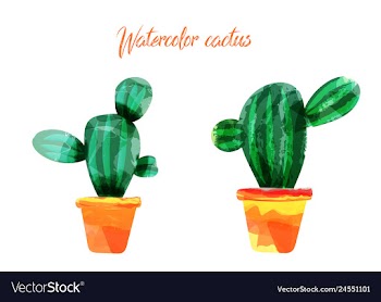 Cactus isolated on white background watercolor vector image