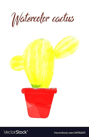 Cactus isolated on white background watercolor vector image