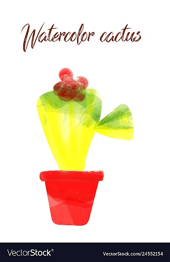 Cactus isolated on white background watercolor vector image