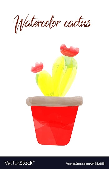Cactus isolated on white background watercolor vector image