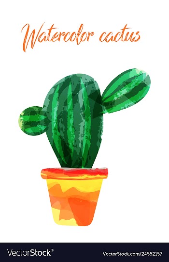 Cactus isolated on white background watercolor vector image