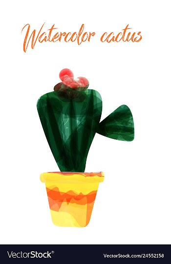 Cactus isolated on white background watercolor vector image