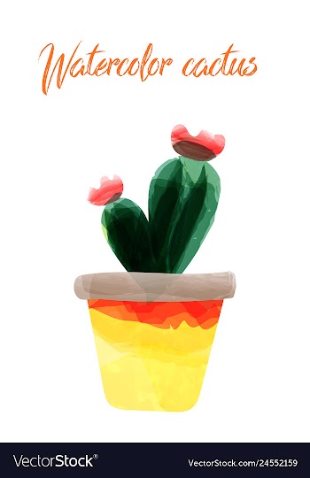 Cactus isolated on white background watercolor vector image
