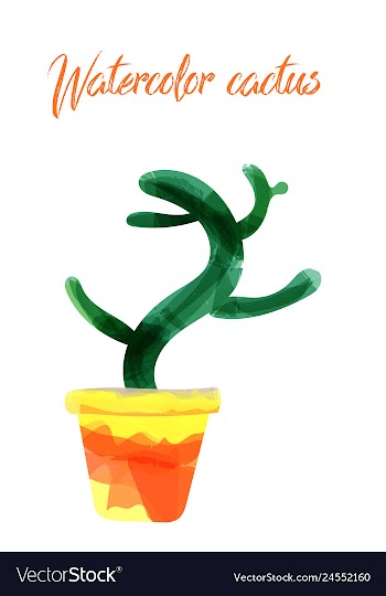 Cactus isolated on white background watercolor vector image