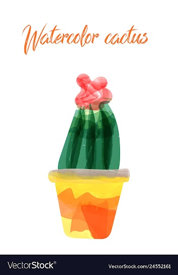 Cactus isolated on white background watercolor vector image