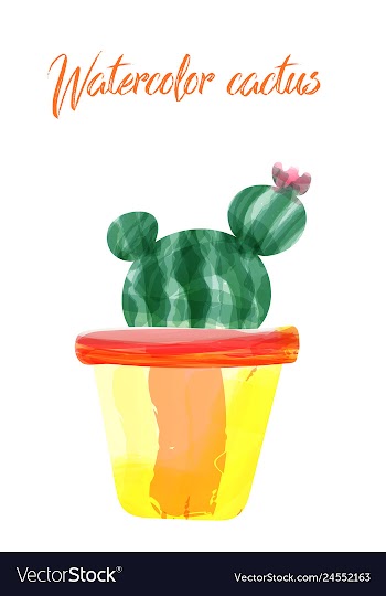 Cactus isolated on white background watercolor vector image