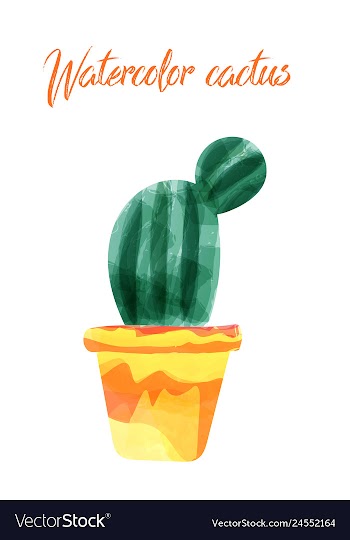 Cactus isolated on white background watercolor vector image