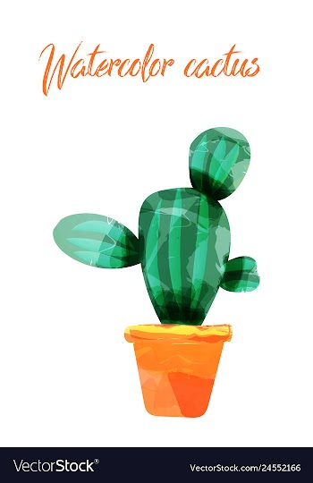 Cactus isolated on white background watercolor vector image