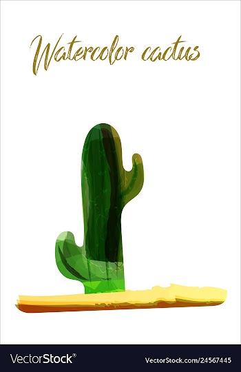 Cactus isolated on white background watercolor vector image