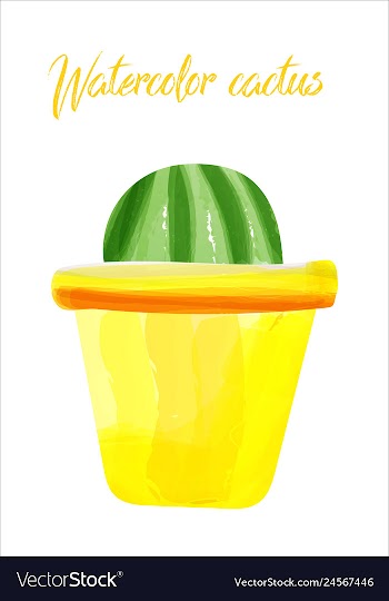 Cactus isolated on white background watercolor vector image