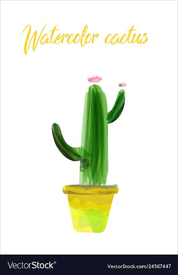 Cactus isolated on white background watercolor vector image