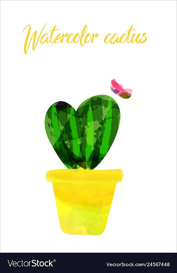 Cactus isolated on white background watercolor vector image