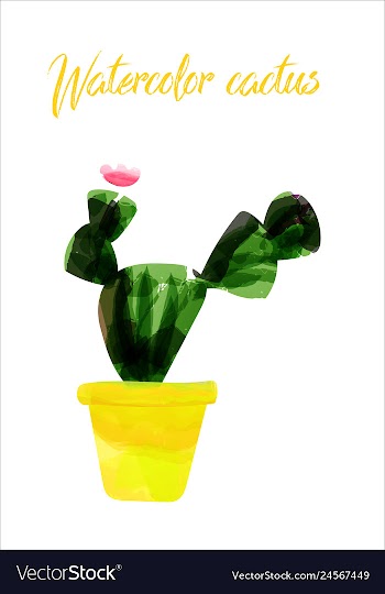 Cactus isolated on white background watercolor vector image