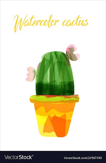 Cactus isolated on white background watercolor vector image