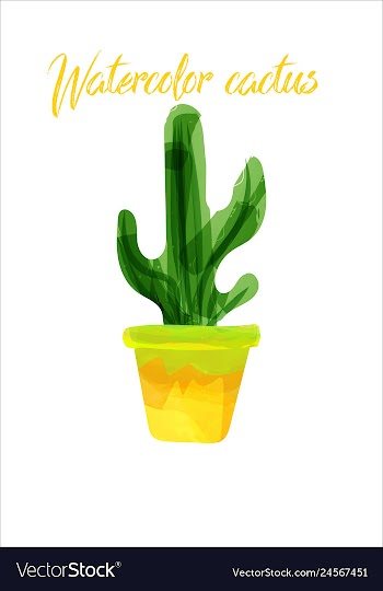 Cactus isolated on white background watercolor vector image