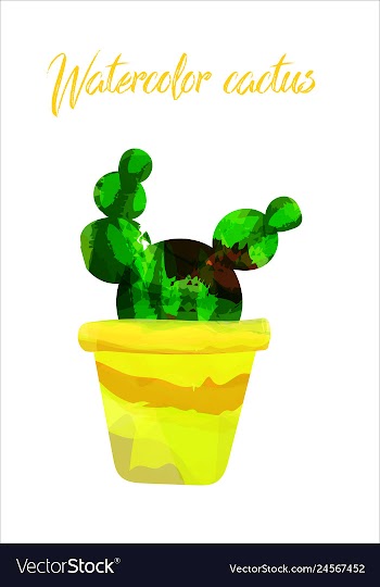 Cactus isolated on white background watercolor vector image