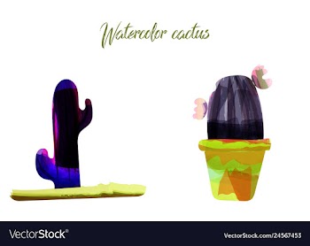 Cactus isolated on white background watercolor vector image
