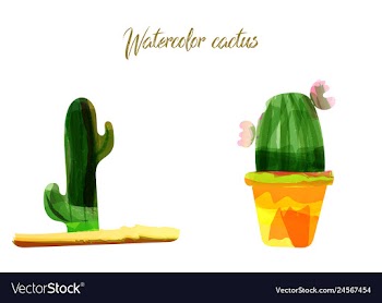 Cactus isolated on white background watercolor vector image