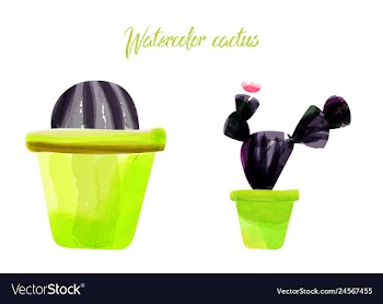 Cactus isolated on white background watercolor vector image
