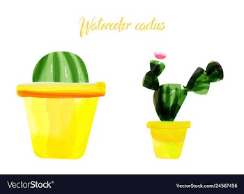 Cactus isolated on white background watercolor vector image