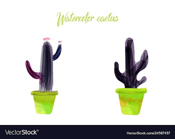 Cactus isolated on white background watercolor vector image
