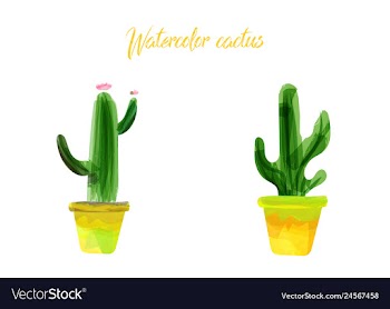 Cactus isolated on white background watercolor vector image