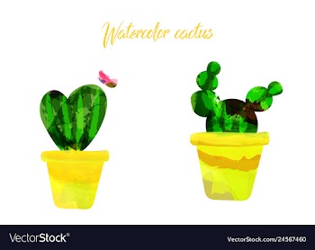 Cactus isolated on white background watercolor vector image