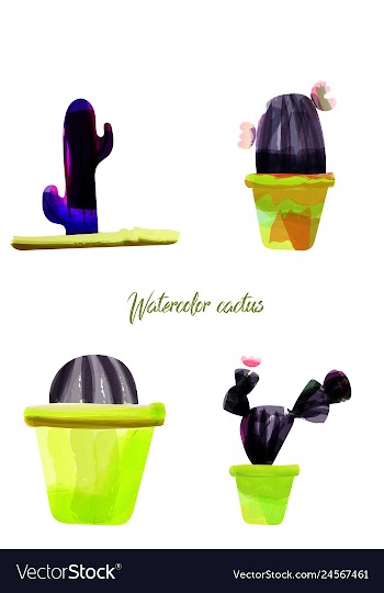 Cactus isolated on white background watercolor vector image