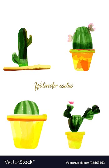 Cactus isolated on white background watercolor vector image