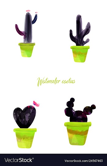 Cactus isolated on white background watercolor vector image