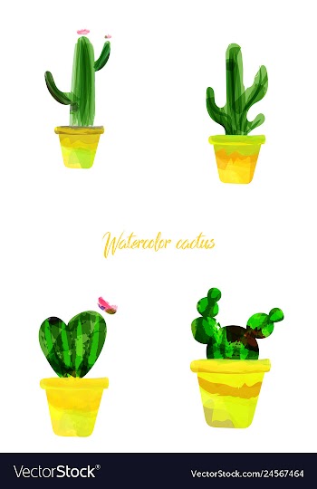 Cactus isolated on white background watercolor vector image