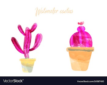 Cactus isolated on white background watercolor vector image